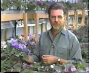 African Violet Society of America