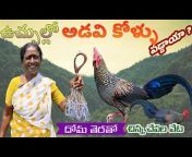 Wilderness Telugu Cooking channel