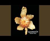 Catweazle - Topic
