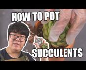 SucculentSucculents