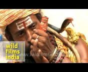 WildFilmsIndia
