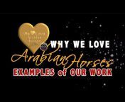 We LOVE Arabian Horses