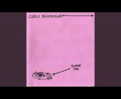 Chris Buckridge - Topic