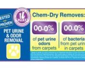 Chem-Dry&#39;s Pet Urine Removal Treatment (P.U.R.T.®) removes 99.9% of pet urine odors from carpets as well as 99.2% of bacteria from pet urine in carpets.