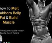 #3 Secrets To Burn Stubborn Belly Fat & Build Muscle from muscle belly