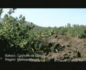 VIDEO CORPORATIVO SLEMAN from sleman