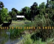 The Florida Suite is a poetic documentary that tells the story of Andrew Graham, a retired lawyer who lives in a log cabin in the middle of his 13 acre citrus grove, located near the shores of the Indian River, Florida. There, living with three friendly dogs, he tends his fruit and takes care of his 90 year old mother, who is suffering from Alzheimer&#39;s disease. The film is structured to, and takes its name from, Frederick Delius&#39; Florida Suite, a beautiful four-movement tone poem.nnThe ultimate
