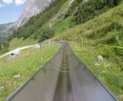 The Pfingstegg toboggan run in Grindelwald, Switzerland.nnNo brake and crouched down as far I could to reach maximum speed. nnDuring my return up the hill a small mouse got on the track. I for sure thought I was going to crush him but he made it out alive.