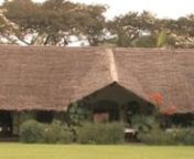 You will find a charming atmosphere together with every comfort: an ideal spot to enjoy the impressive flora and fauna of East Africa. Moivaro Lodge is situated right in the heart of beautiful, natural scenery and yet is only 7 km from the town of Arusha.nnAt Moivaro Lodge we will ensure that you are looked after in a unique, friendly and peaceful environment, helping you to prepare for your safaris and cosseting you on your return in the evening. Relax and enjoy the beautiful vista of Mount Mer