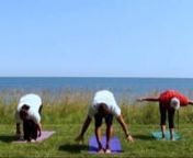 SOADI Staff do Yoga in the morning on the shores of Lake Ontario.Basic Gentle Yoga class good for beginners.