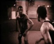 Mêmes causes, mêmes effets le Danmyé est aux Antilles ce que la Capoeira est au Brésil.nKamo (histoire courte en créole) est une collection de moments volés réalisée par Gilles Elie-Dit-Cosaque. Ce sont des instants de la vie quotidienne en Martinique, à mi-chemin entre le documentaire, le clip et le film expérimental. Place est laissée toute entière à l&#39;image, à l&#39;émotion. Aucun commentaire, juste les compositions originales de François Causse, aussi hétéroclites que ces films