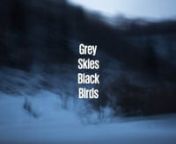 GREY SKIES BLACK BIRDSnby Stéphanie Borcard and Nicolas MétrauxnnTexts by Saša Stanišić, Srećko Latal and Christian CaujollenPublished November 2015nnDecember 14th 2015 will mark the 20th anniversary of the signing of the DaytonnAgreement, the treaty that brought an end to the Bosnian War. This new book, thenresult of a long-term project by photographers Stéphanie Borcard and NicolasnMétraux, aims to give a face to the cities and landscapes whose names are familiarnin the collective memo