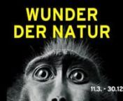 Wunder der Natur - Gasometer Oberhausen from wunder