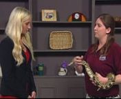 Although Erica Prokrym was an English major in college, she found herself working at a zoo. She is the Education Director at the Red River Zoo in Fargo, North Dakota. Today, she&#39;s brought two animals, a hedgehog and a ball python.nnSpartacus the Hedgehog weighs about one pound, so he has special adaptations that protect him from potential predators. “The obvious on of course is the spines, he’s covered in lots of spines that protect him from being bitten by other animals,” says Prokrym.nnP