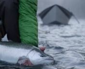 In the first episode of Find Your Water, follow along with Redington employees as they highlight the incredible test facility located right in their own backyard--the Washington Coast. Steelhead season is integral to Redington&#39;s culture, and this short film makes it easy to see why fly anglers spend entire lifetimes chasing this elusive species.