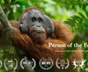 In the vanishing lowland rainforests of Borneo, new research is underway to uncover and understand the unique cultural behaviors in wild orangutans, before it’s too late. There, photographer Tim Laman, researcher Cheryll Knott and young explorer Robert Suro have documented orangutans making pillows, fashioning umbrellas and displaying regional greetings. The project, 20 years in the making, offers a fascinating glimpse into the habits of wild orangutans, as well as a window into human evolutio