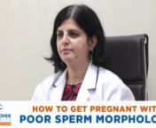 Dr Richa Sharma Explaining How to get pregnant with poor sperm morphologynnBlog Link: https://www.medicoverfertility.com/blog/getting-pregnant-poor-sperm-morphologynnVideo TranscriptnnMale fertility is dependent on the quality of the semen. And there are three factors that determine the quality of the semen they arenn• Sperm countn• Good movement i.e. motility of spermn• Sperm morphology i.e. shape of spermnnIf any of these three factors are low, then it may cause fertility issues in a mal