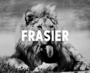 LION. KING. How a 19 year old lion fathered 35 cubs… in a year and a half. This is the wild story of a lion named Frasier—Frasier the Sensuous Lion—who became a science wonder the world over in 1972. After all, how many lions have movies and songs made about them because of never before seen animal behavior?nnYou see, Frasier defied what was previously known about lion breeding habits—any animal’s really. Did you say 35 cubs? In just 18 months? And, wait, how old? nnAlso, in this vid