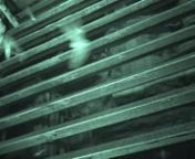 Grey bats swarming prior to hibernation in the early Fall. This behavior is not well understood, but probably mating has a lot to do with it. Filmed by John Chenger using non-intrusive IRLamp6 infrared illuminators.