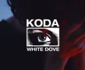 Koda’s White Dove music video was tasked with exploring a complexity of an inescapable toxic relationship. After a few conversations with Koda, the raw, stare-you-in-the-face honesty of Vito Acconci’s performance work kept coming to mind, at least his performative explorations of the darker elements of love. In collaborating, we wanted to fuse that textural performance work with something more dream-like and ethereal. We found our setting in Morro Bay, California. The sunrise over the dunes