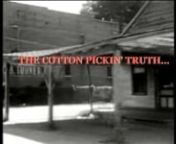 THE COTTON PICKIN&#39; TRUTH...nnHarrell described the case of Mae Louise Walls Miller, who didn&#39;t get her freedom until 1963, when she was about 14. As a child, Miller would get sent up to the landowner&#39;s house on the farm where her family was enslaved and