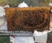 Una Iniciativa con la que trabajamos fue #SinMiel donde colaboramos con empresas como Ventura Miel de Abeja, Alanika y The Flower Box para promover éste movimiento de conciencia por las abejas.