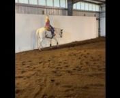 2017 APHA/ABRA (Buckskin Bred Program) Mare by Arapadude and out of a Hot Ones Only mare. nn“Bebe” is 15.2, eye catching and gets noticed wherever she goes. She has an awesome lope and has been shown successfully in the WP &amp; HUS and has some APHA &amp; ABRA points. nnStarted in showmanship, trail and pattern work. Would be best suited to a strong riding youth/amateur in a program or an intermediate/advanced DIY amateur. She’s a high caliber horse for a dedicated rider. nLocated on the