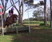 Lyla Waite riding Prince Napoleon 267 Grade 4 Werribee Pony Club Horse Trials 2022.mp4 from napoleon pony