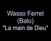 Pasteur Wasso Ferret (Balo)n
