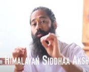 Satsang with Himalayan Siddha Akshar from siddha