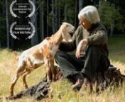 “Women On The Land: Creating Conscious Community” highlights the work of women of this Northern California coastal community over the past forty years. The film opens with archival footage of women who founded