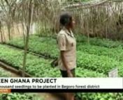 Green Ghana Project; 200 thousand seedlings to be planted in Begoro forest district from begoro