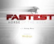 Mr. Wireless came in off a ten-month layoff to claim fastest horse of the week honors after his win at Fair Grounds. The Fastest Horse of the Week is sponsored by the stallions at WinStar Farm.