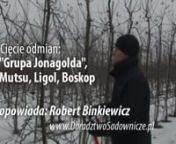 Opowiada Robert Binkiewicz - Doradca sadowniczy Agrosimex.nnwww.doradztwosadownicze.pl