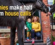 Ponies make half term house calls from ithalia