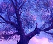 anime-girl-sitting-on-purple-big-tree-4k-bj_2 from anime bj