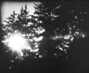 I recently retrieved from a hard drive at NYU this small film, whatyousee, that I cut in 2001 from footage shot on an old Super 8 camera at the 2000 Flaherty Seminar. I&#39;d been a student in the NYU Program in Culture &amp; Media (1995-1998) and had experimented with videotaping fragments of Super 8 footage projected onto a wall in our equipment room. I used the same technique with this little piece, cutting it against a friend&#39;s hurdy-gurdy composition. I wanted to capture some of the oneiric sta