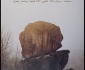 Narrated `Abdullah bin `Umar:nI heard Allah&#39;s Messenger (ﷺ) saying,