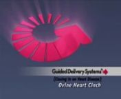 Ovine heart cinch from ovine