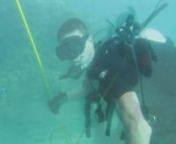 Steve, Chad, Scott, Vayana and Gitmo explore two dive sites in South Palm Beach County on October, 20, 2012