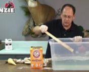Part 3 of Rick Carter&#39;s step by step explanation of tanning for taxidermy with McKenzie products.