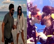 Farhan Akhtar and Shibani Dandekar enjoyed at their honeymoon. Their Beach video goes viral in which they kiss each other. Farhan Akhtar shares video on his instagram. Love birds Farhan and Shibani got married in February 2022. Watch video to know more &#60;br/&#62; &#60;br/&#62;#FarhanAkhtar #ShibaniDandekar #Honeymoon