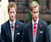 Fact checking: Is Prince William really encouraging Harry to move back to the UK? from tarzan move fullw