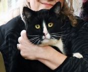 A cat named Sprout is recovering at Brook Farm Cattery, Hindley Green, after suffering awful injuries to its legs.Sprout has been nursed back to health by volunteers from animal rescue Andrea&#39;s Legacy, staff at Atherton Vets Practice and Brook Farm Cattery and looking for a forever home.
