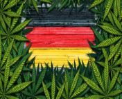 Germany Legalizes , Recreational Marijuana.&#60;br/&#62;On Feb. 23, 407 lawmakers in Germany&#39;s &#60;br/&#62;lower house of parliament voted in favor of legalizing recreational cannabis, CNN reports. .&#60;br/&#62;226 lawmakers voted against the regulation, and four abstained from voting.&#60;br/&#62;Beginning April 1, adults age 18 and up can &#60;br/&#62;grow up to three marijuana plants and have &#60;br/&#62;50 grams of cannabis in their possession at home.&#60;br/&#62;In public, adults will be able &#60;br/&#62;to carry 25 grams of marijuana.&#60;br/&#62;The new legislation has been criticized &#60;br/&#62;by the German Medical Associations. .&#60;br/&#62;The legalization of cannabis leads &#60;br/&#62;to more consumption and &#60;br/&#62;trivializes the associated risks. , Klaus Reinhardt, president of the &#60;br/&#62;German Medical Associations, via statement.&#60;br/&#62;Cannabis can be addictive and cause &#60;br/&#62;serious developmental damage. , Klaus Reinhardt, president of the &#60;br/&#62;German Medical Associations, via statement.&#60;br/&#62;This country does not need &#60;br/&#62;cannabis legalization, Klaus Reinhardt, president of the &#60;br/&#62;German Medical Associations, via statement.&#60;br/&#62;Karl Lauterbach, Germany’s &#60;br/&#62;health minister, disagrees.&#60;br/&#62;The aim is to crack down on the &#60;br/&#62;black market and drugs-related &#60;br/&#62;crime, reduce the amount of dealing &#60;br/&#62;and cut the number of users, Karl Lauterbach, Germany’s health minister, via statement.&#60;br/&#62;Germany is the third European country to legalize marijuana for recreational use.&#60;br/&#62;Malta and Luxembourg also &#60;br/&#62;permit recreational cannabis.