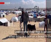 Looking after three dogs is not easy when living in a tent on a beach in Gaza, but the joy it brings to 17-year-old Hassan Abu Saman makes it all worth it. Hassan finds solace in caring for his three dogs, Mofaz, Lucy, and Dahab, in a tent on a Gaza beach after fleeing his bombed home. Veuer’s Maria Mercedes Galuppo has the story.