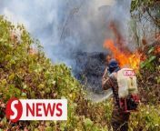 Firemen have been forced to take turns fighting forest fires for two days straight owing to the drought and irresponsible acts of open burning in Kota Belud district in Sabah.&#60;br/&#62;&#60;br/&#62;On Sunday (March 10), they managed to put out nearly 324ha (800 acres) of secondary forest and brush fires.&#60;br/&#62;&#60;br/&#62;Read more at https://shorturl.at/ekKW3&#60;br/&#62;&#60;br/&#62;WATCH MORE: https://thestartv.com/c/news&#60;br/&#62;SUBSCRIBE: https://cutt.ly/TheStar&#60;br/&#62;LIKE: https://fb.com/TheStarOnline