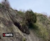 The dramatic moment a tree tumbled down a cliff towards walkers during a landslide was caught on camera.&#60;br/&#62;&#60;br/&#62;Footage of the incident - the third landslide in Folkestone, Kent, in the last month - is worrying local residents.&#60;br/&#62;&#60;br/&#62;Jon Beard was walking along Sunny Sands beach yesterday [Sunday March 3] when a tree suddenly plunged down the hill in front of him, landing just yards from passers-by.&#60;br/&#62;&#60;br/&#62;Mr Beard, who grew up in the town, said: “I got to the spot a bit before the actual landslide and noticed that the chunks of soil rolling down the slope were getting bigger, so I decided to wait.