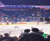 These dog owners gathered with their pets inside an ice hockey rink to attend an event. When the audience started throwing pucks into the rink, some of the owners took off their dog&#39;s leash to let them grab the pucks.&#60;br/&#62;&#60;br/&#62;“The underlying music rights are not available for license. For use of the video with the track(s) contained therein, please contact the music publisher(s) or relevant rightsholder(s).”