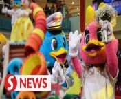 In what was touted as the wedding of the century, Sunway Theme Parks mascots Captain Quack and Lady Quack got married in a fairytale wedding ceremony.&#60;br/&#62;&#60;br/&#62;WATCH MORE: https://thestartv.com/c/news&#60;br/&#62;SUBSCRIBE: https://cutt.ly/TheStar&#60;br/&#62;LIKE: https://fb.com/TheStarOnline